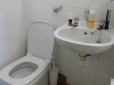 Picture 7
